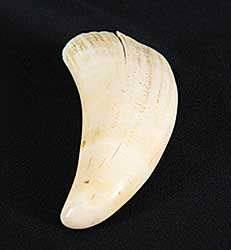 #121 ~ Inuit - Untitled - Sperm Whale Tooth