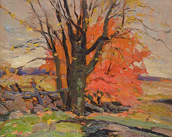 #7 ~ Brooks - Old Tree