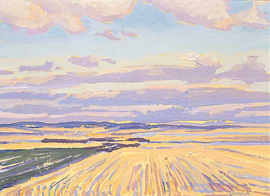#22 ~ Duma - Fields and Clouds