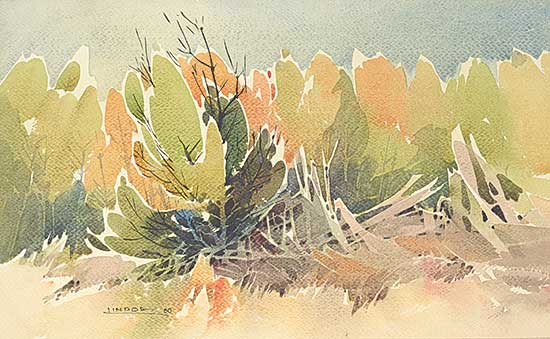#51 ~ Lindoe - Untitled - Colourful Forest