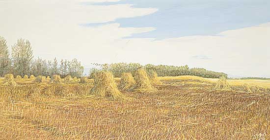 #401 ~ Acs - Stooks [Northern Alberta near Flatbush]