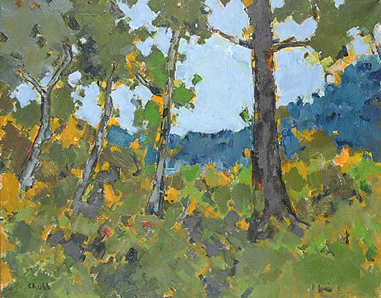 #409 ~ Chubb - Landscape, Soda Creek