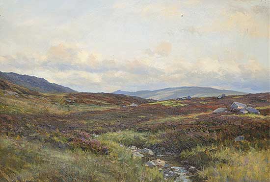 #435 ~ Lyon - Untitled - Scottish Highlands