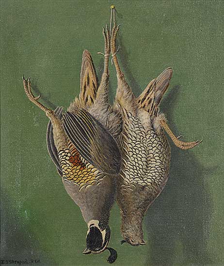 #467 ~ Shrapnel - Untitled - Male and Female Quail