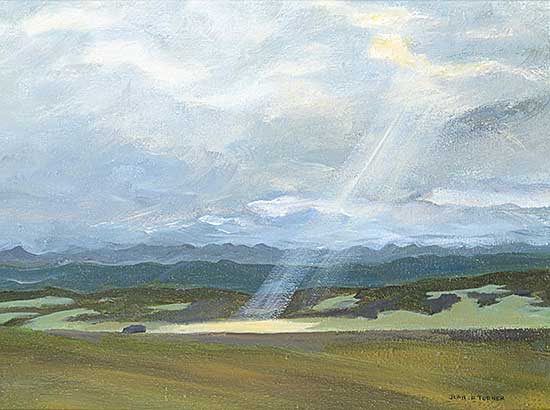 #474 ~ Turner - Near Millarville