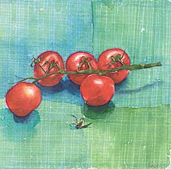 #459 ~ Rees - Cherry Tomatoes