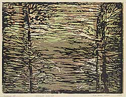 #476.3 ~ Wieser - Minnewanka Reflected #A/P #476.3 ~ Wieser - Minnewanka Reflected #A/P