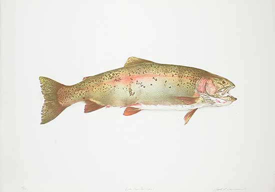 #1026 ~ Cowin - Fish [Hen Rainbow]  #48/50