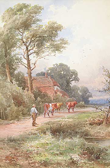 #1129 ~ Parker - Near Sutton, Surrey