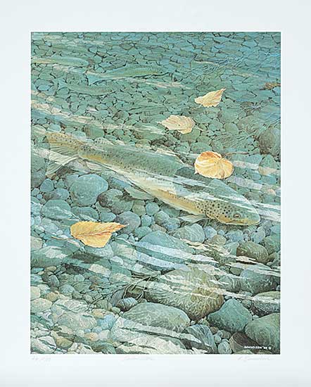 #1 ~ Samuelson - Shallow Water  #A/P #12/25