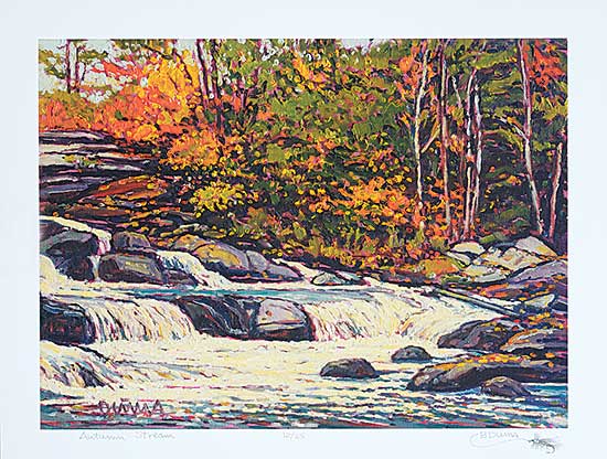#9 ~ Duma - Autumn Stream  #12/25