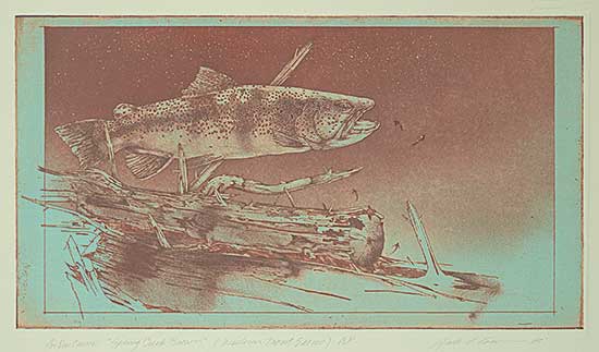 #24 ~ Cowin - Spring Creek Brown [Wester Trout Series]  #A.P.