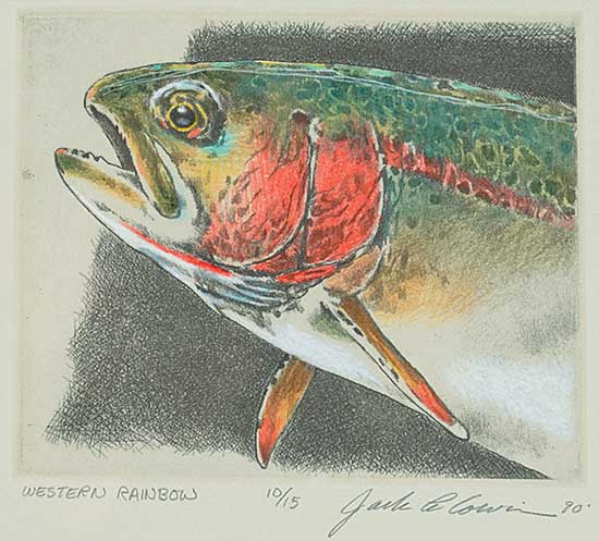 #28 ~ Cowin - Western Rainbow  #10/15