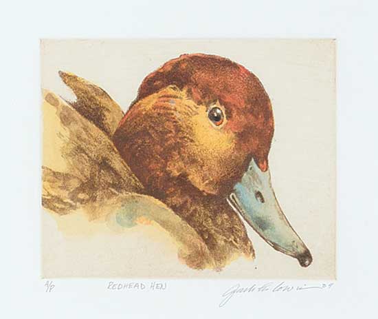 #31.1 ~ Cowin - Redhead Hen  #A/P