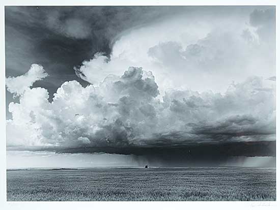 #1014 ~ Willock - Sleepy Hollow, Alberta  #30/110