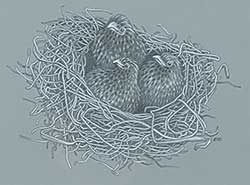 #191 ~ Schweibert - Birds Nest