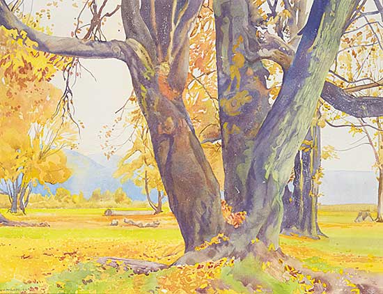 #89 ~ Phillips - Maples at Cowichan