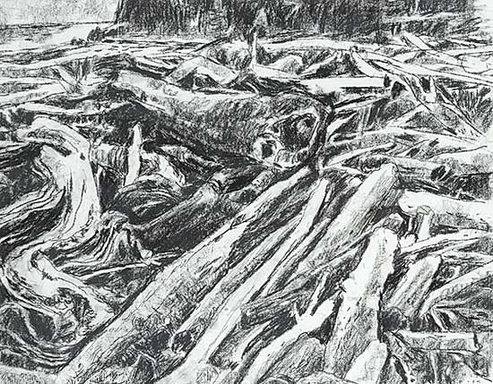 #238 ~ Smith - Untitled - Logs on the Beach