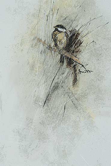 #429 ~ Everett - Chickadee IV