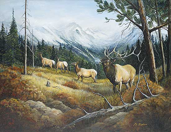#433 ~ Fisher - Untitled - Herd of Elk
