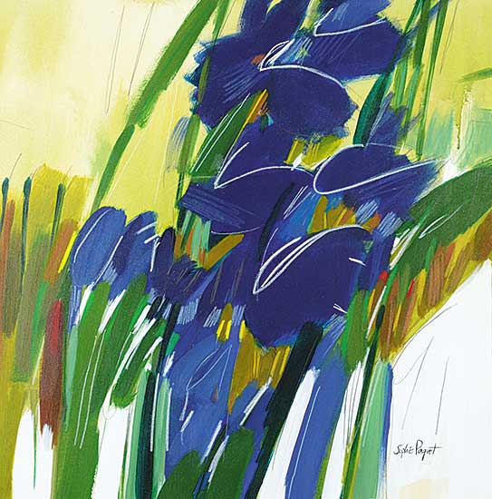 #476 ~ Paquet - Iris Sauvages
