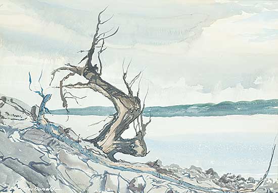 #1116 ~ MacDonald - Untitled - Tree on the Lake Shore