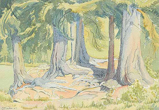 #1226 ~ Shelton - Deep in the Woods