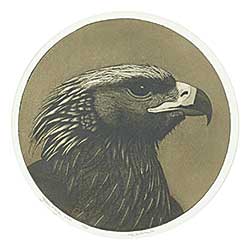 #1076 ~ Hollern - Golden Eagle One  #5/60