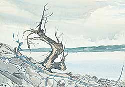 #1116 ~ MacDonald - Untitled - Tree on the Lake Shore