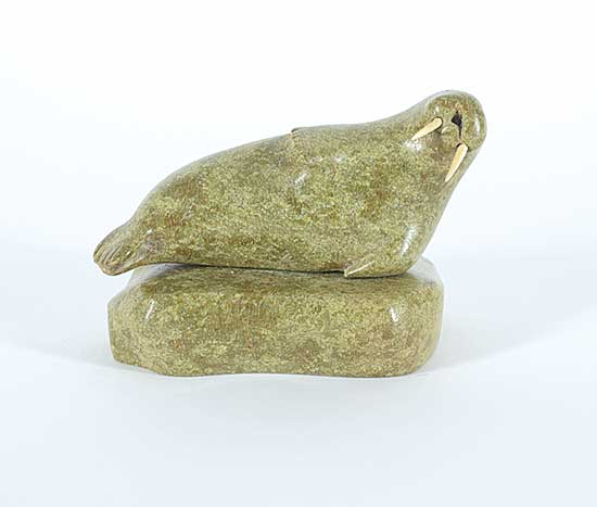 #32 ~ Pitsiulak - Untitled - Walrus