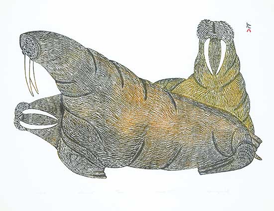 #34 ~ Pootoogook - Walrus  #58/200