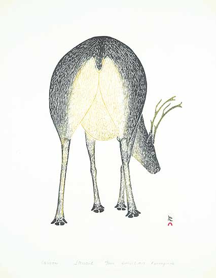#35 ~ Pootoogook - Caribou  #58/200