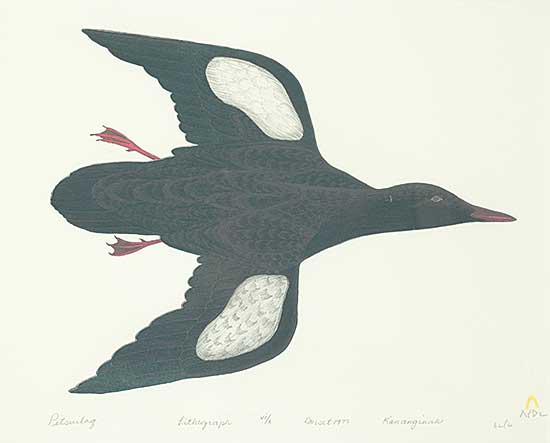 #38 ~ Pootoogook - Pitsiulaq  #VI/X