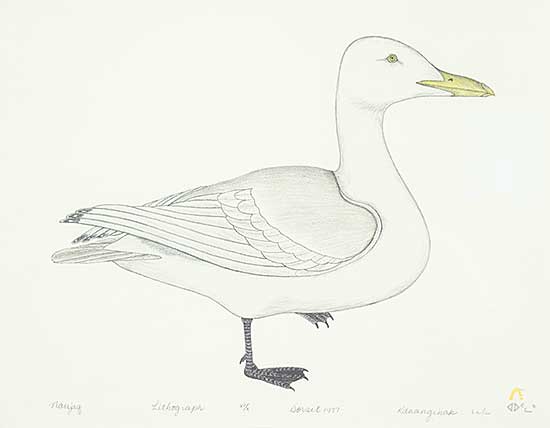 #40 ~ Pootoogook - Naujaq  #VI/X