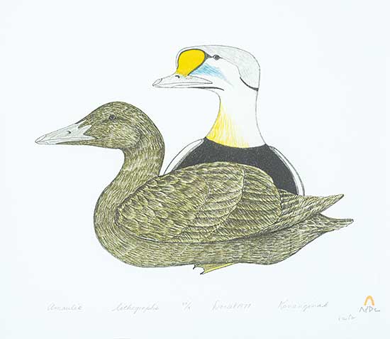 #43 ~ Pootoogook - Amaulik  #VI/X