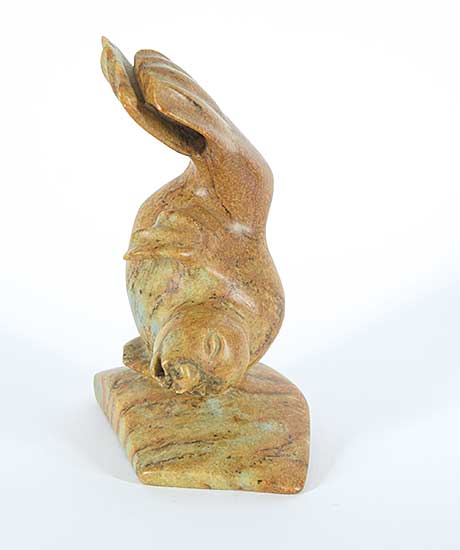#77 ~ Lester - Untitled - Playful Seal
