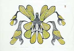 #46 ~ Inuit - Yellow Birds  #15/50