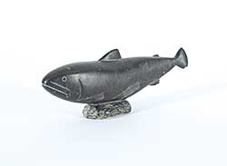 #58 ~ Inuit - Untitled - Black Fish