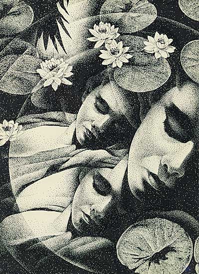 #13 ~ Brooker - Untitled - Faces in the Lily Pads