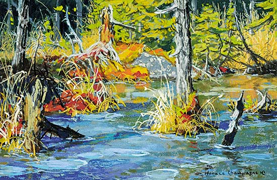 #19 ~ Champagne - Hidden Jewel in the Forest, First Ice, Late Afternoon, Park de la Jacques Cartier, Quebec
