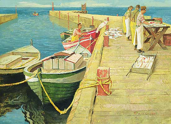 #29 ~ Collier - East Coast Fishing