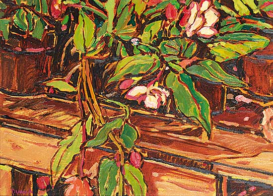 #43 ~ Duma - Potted Plants