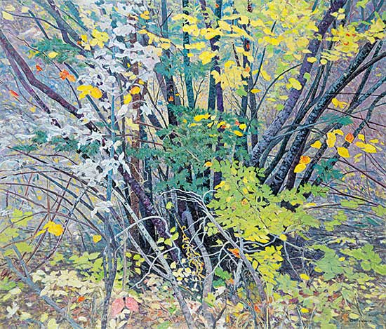 #45 ~ Flodberg - Along the Path