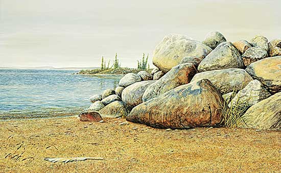 #46 ~ Gibbs - Fallen Feather [Red Rock Lake N.W.T.]