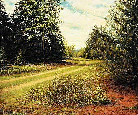 #85 ~ Plante - Chemin de Terre