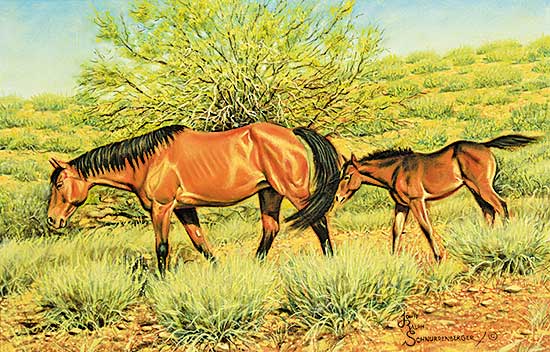 #92 ~ Schnurrenberger - Mare and Foal #10