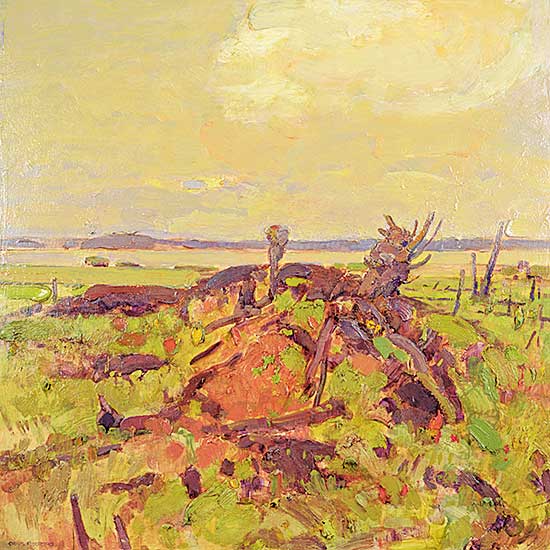 #210 ~ Flodberg - Shoreline