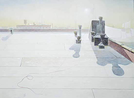 #220 ~ Liebmann - New York Roof, August