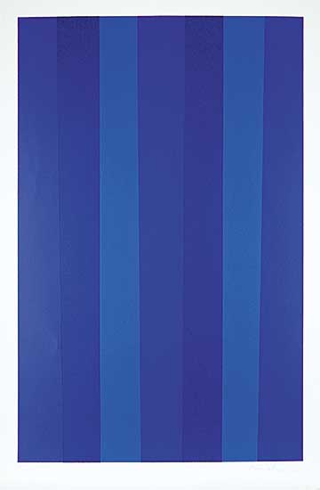 #223 ~ Molinari - Blue Quantifer  #27/40