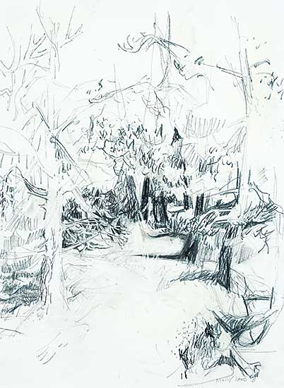 #409 ~ Bobak - Forest Path